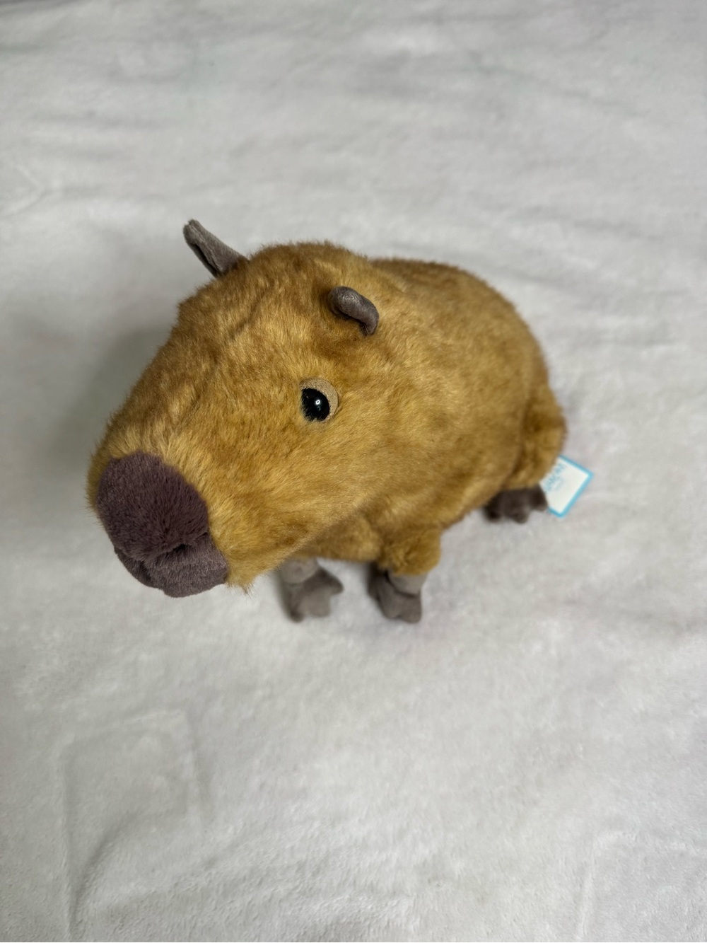 Clyde Capybara Jellycat BNWT